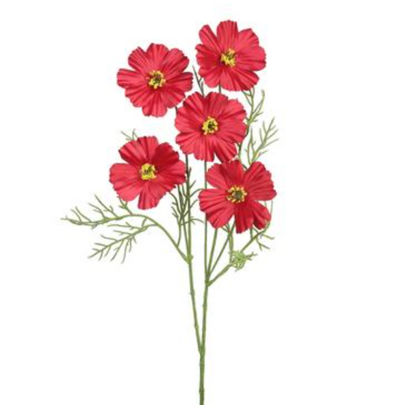 Single cosmos spray in red with five blooms