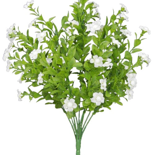 Cream Filler Bush