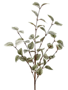 Green Frosted Mini Aspen Leaf Spray