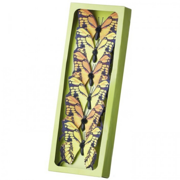 Box of 6 yellow and orange butterflies