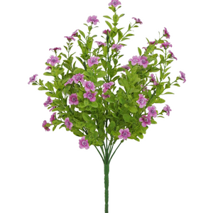 Fuchsia Filler bush