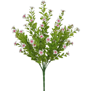 Pink filler bush