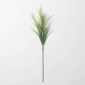 Green Fox Tail Sprouting Grass Spray