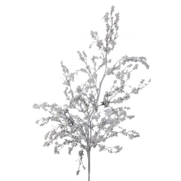 Single spray of white frosted berries