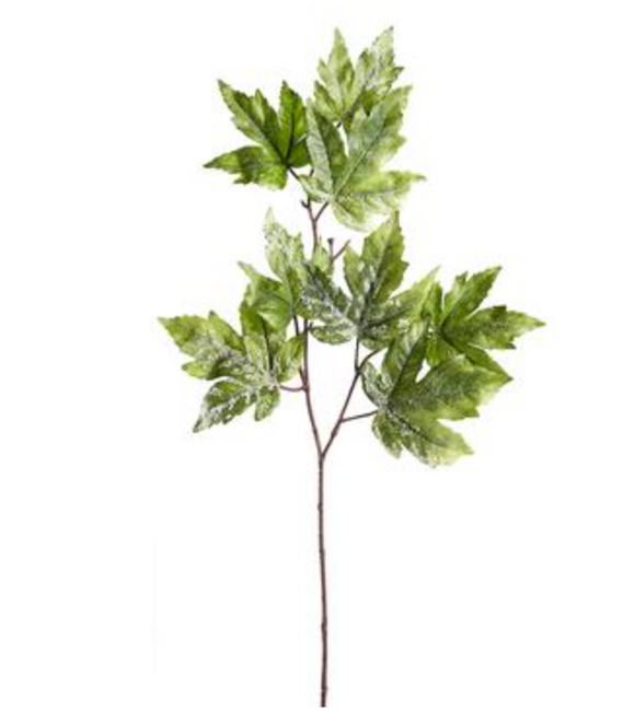 frosted green maple leaf spray