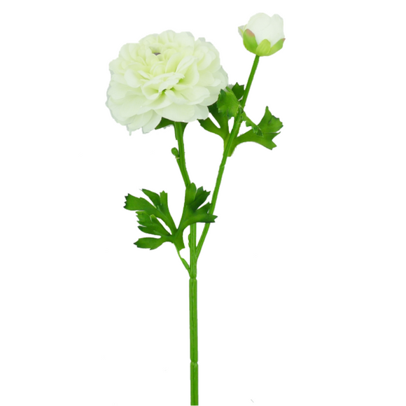 cream ranunculus spray