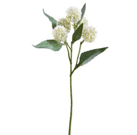 Single globe thistle spray in white