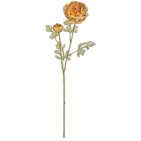 spray of orange ranunculus