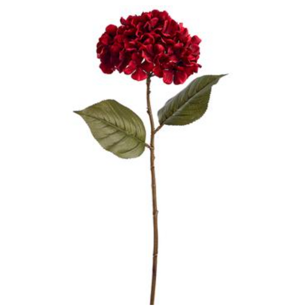 Single crimson colored hydrangea spray
