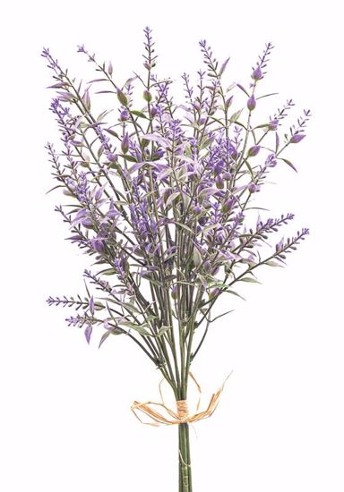 Lavender Lavender Bundle 3 Stems