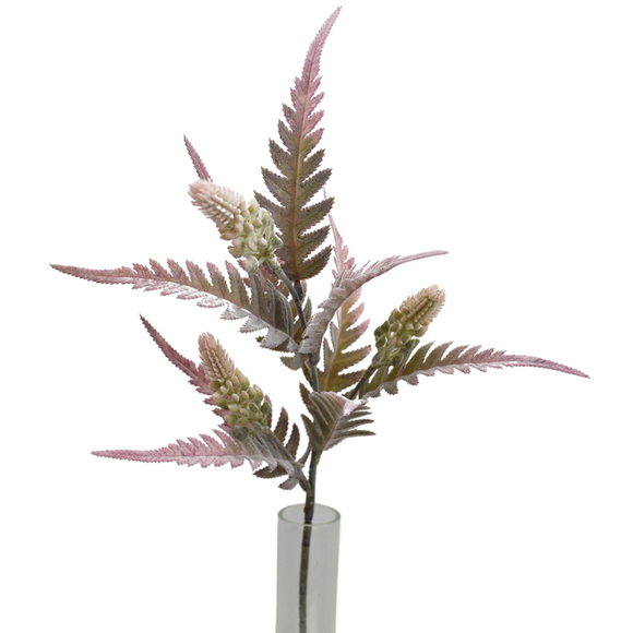 spray of mauve fern leaves