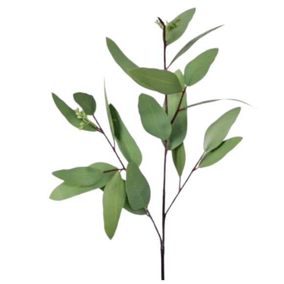 Natural Natural Touch Long Leaf Eucalyptus Pick