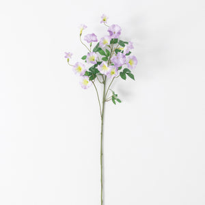 Purple Morning Glory Stem