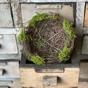 Birds nest with moss