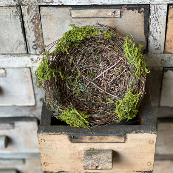 Birds nest with moss