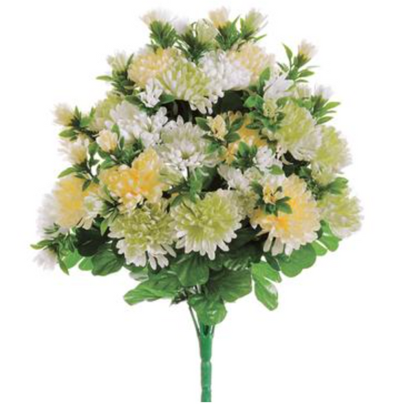 Mum bush on single stem with yellow and ivory mums