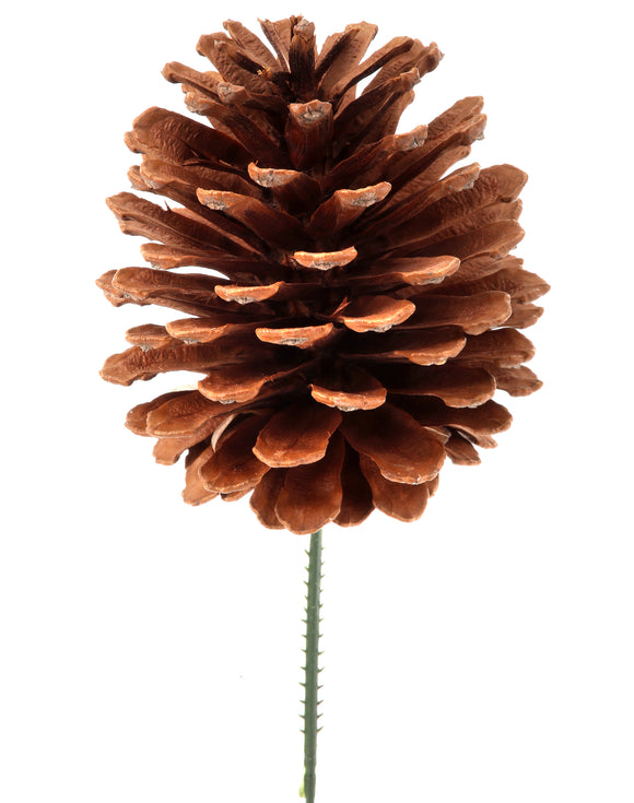 Brown Natural Pine Cone Pick