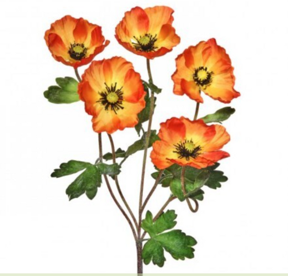 Orange Poppy Bush X5