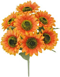 Orange Sunflower Bush