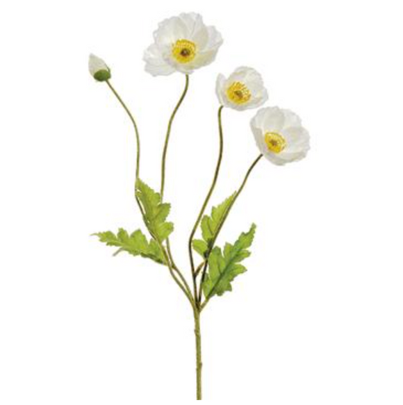 Spray with white  poppy flowers