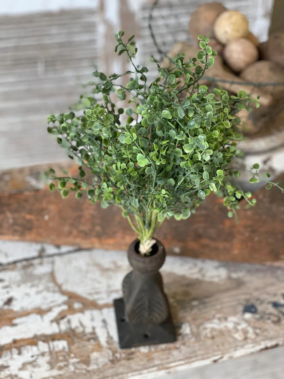 Green Pennington Boxwood Bundle