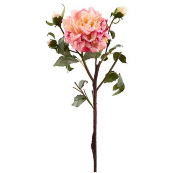 Pink Peony Spray With One Flower and Three Buds