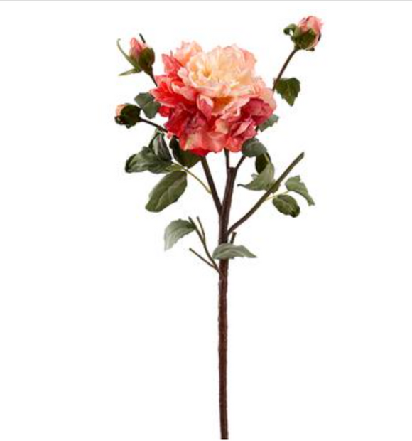 Tea Berry Peony Spray With One Flower and Three Buds