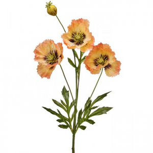 Spray of butterscotch colored poppies