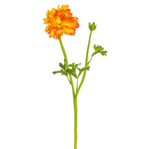 Orange Ranunculus Spray