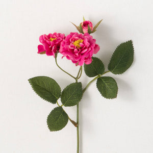 Stem with two dark pink roses and rose bud