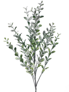 SNOWY BOXWOOD SPRAY 