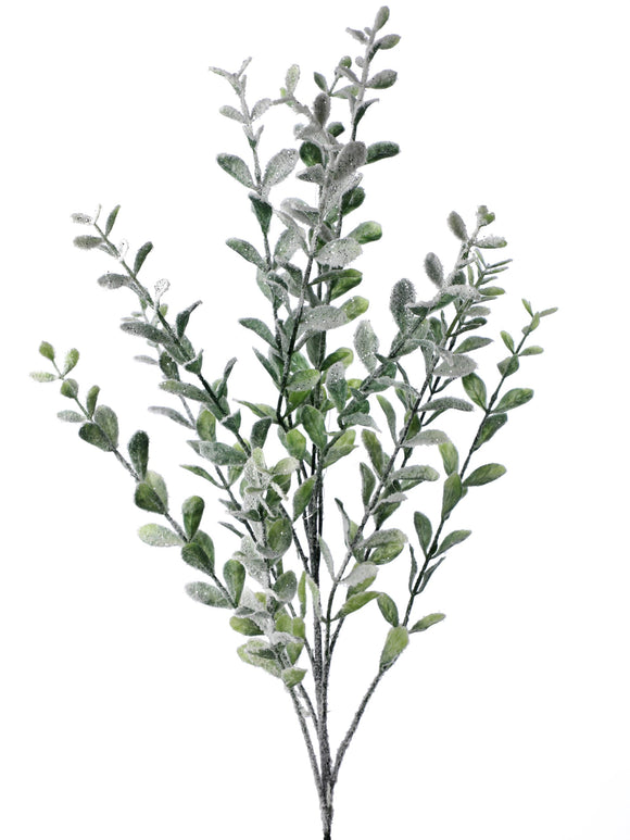 SNOWY BOXWOOD SPRAY 