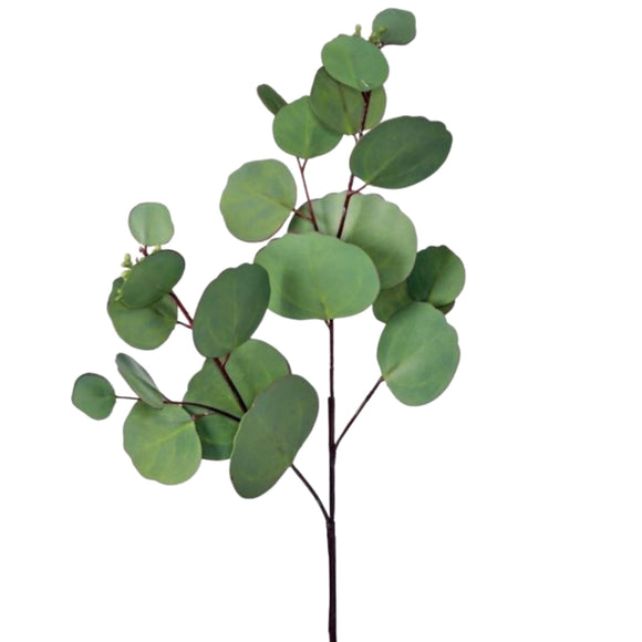 Natural Natural Touch Silver Dollar Eucalyptus Pick