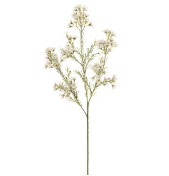 Single stem of artificial white waxflower