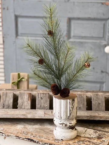 Southern Pine Spray