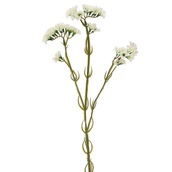 Spray of white statice