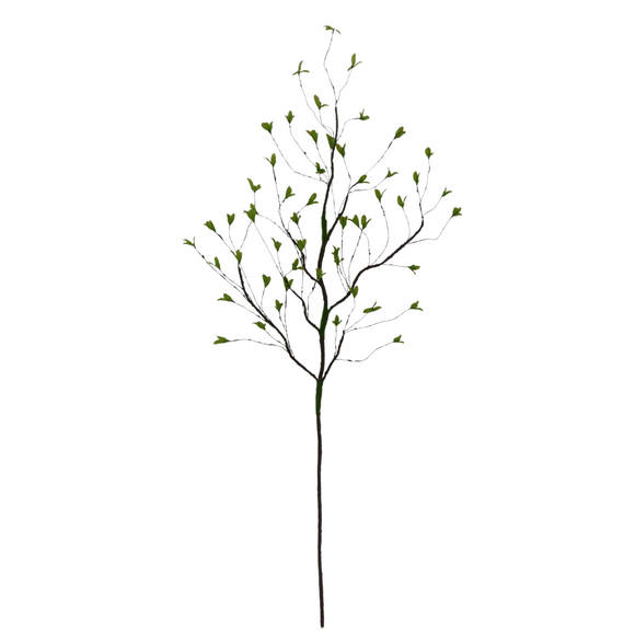 Spring Sprout Stem