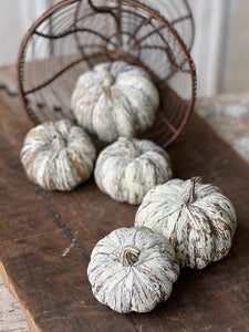 Timberland Pumpkins In Bag
