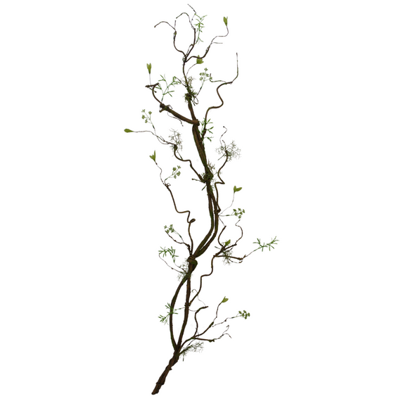 Twig Branch with moss