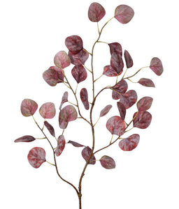 Russet Weathered Harvest Eucalyptus Spray