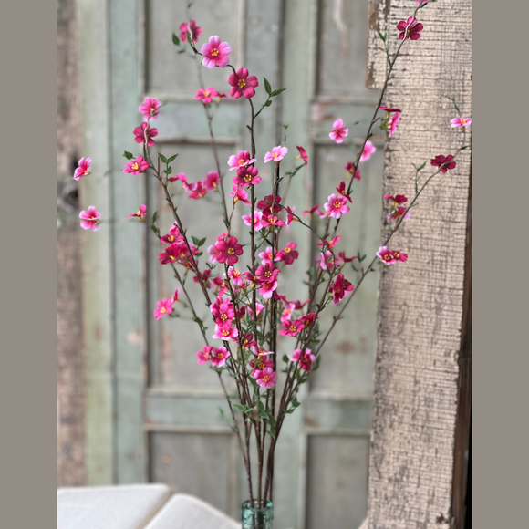 Spray of Beauty Colored Flowers