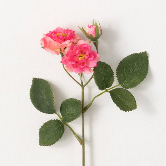 Stem with two  pink roses and rose bud