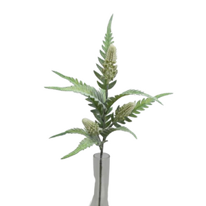 spray of green fern leaves