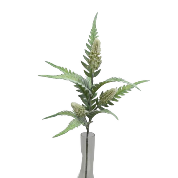 spray of green fern leaves