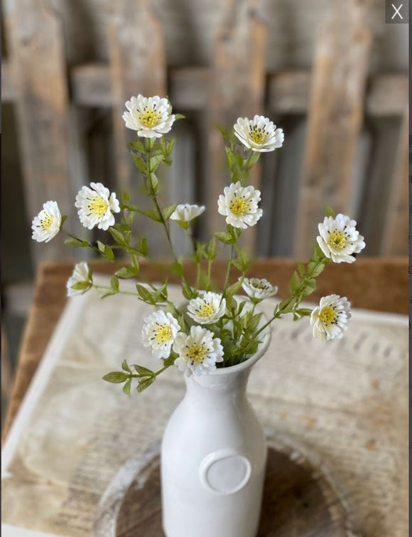 Cream Tempest Blooms