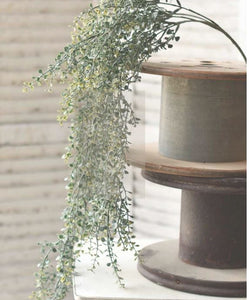Greens Baby's Twilight Hanging Greenery Bush
